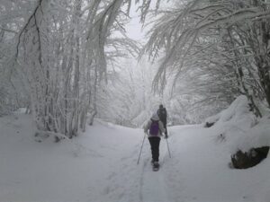 Scopri di più sull'articolo Weekend a tutta neve al Rifugio Lagdei, cinque escursioni in due giorni
