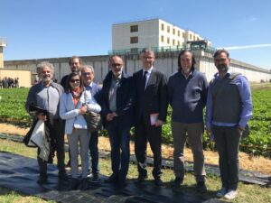 Scopri di più sull'articolo Ex Novo, le fragole coltivate nel Carcere di Piacenza, grazie al progetto di L’Orto Botanico con Coop Alleanza 3.0